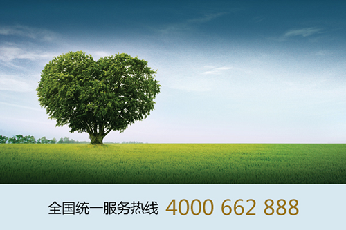 乐发VllI